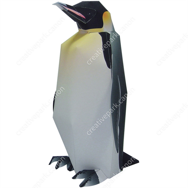 Emperor penguin