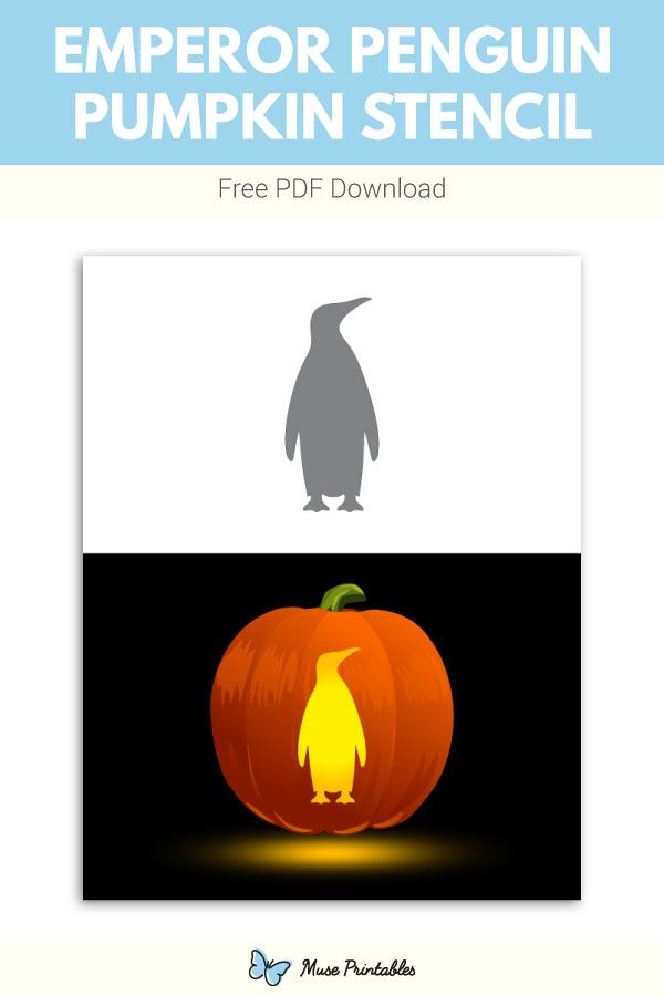 Free emperor penguin pumpkin stencil pumpkin stencil halloween pumpkin carving stencils pumpkin stencils free