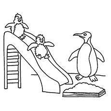 Penguin coloring pages