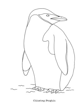 Penguins coloring pages tpt