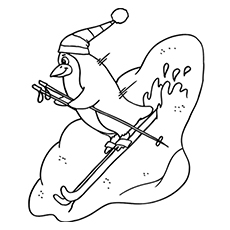 Penguin coloring pages