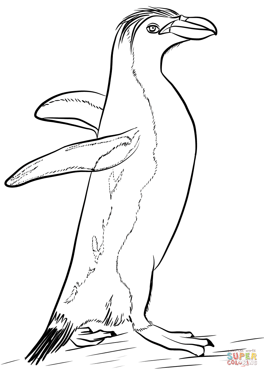 Royal penguin coloring page free printable coloring pages