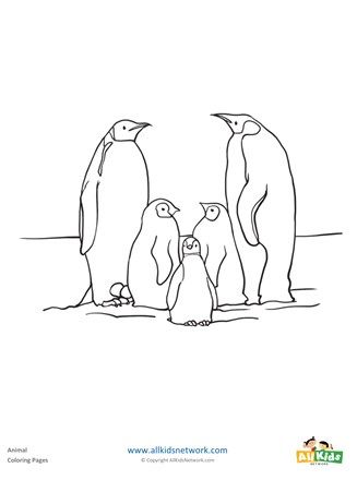 Playful penguins coloring page