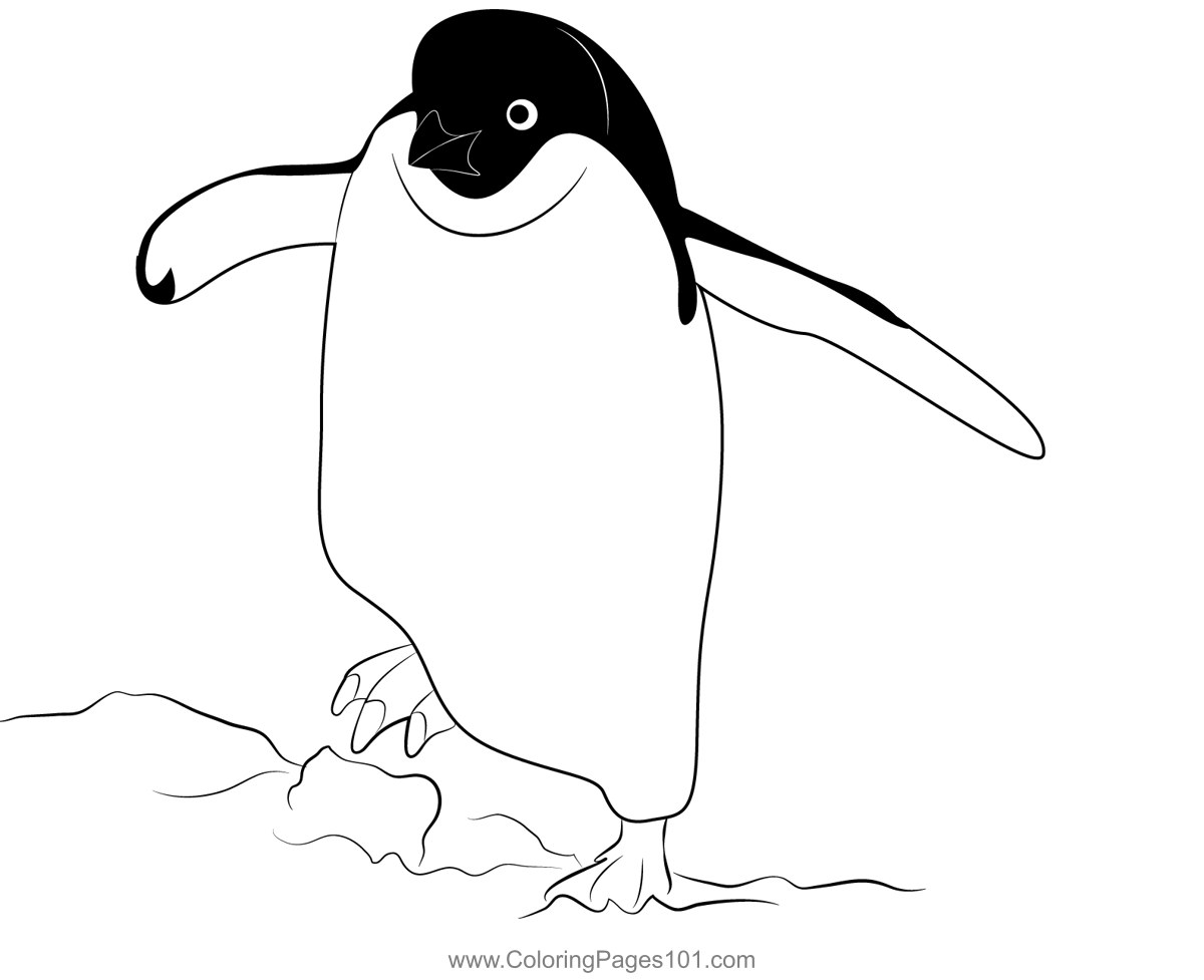 Penguin walking coloring page