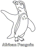 Penguins pages