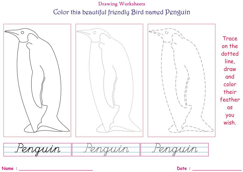Birds coloring pages for kids