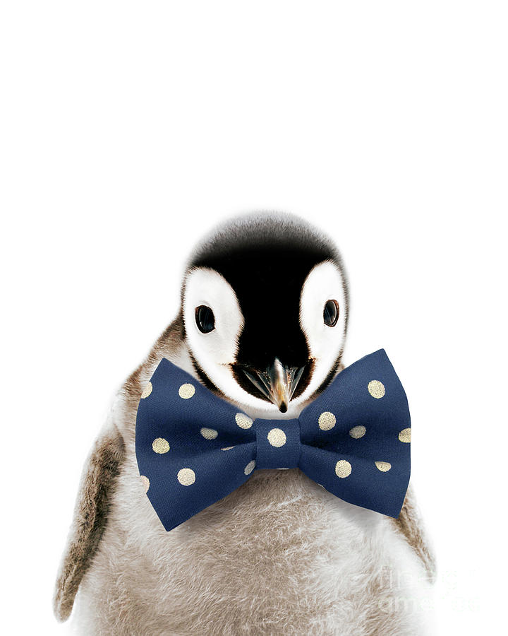 Baby penguin with bow tie baby animals art print by synplus digital art by synplus art