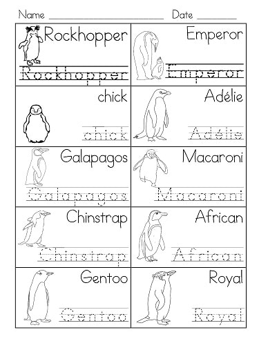 Penguin word search coloring and writing freebie â wise owl factory