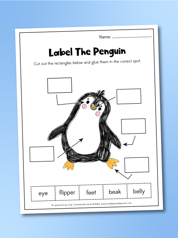 Penguin worksheets for kids free printable
