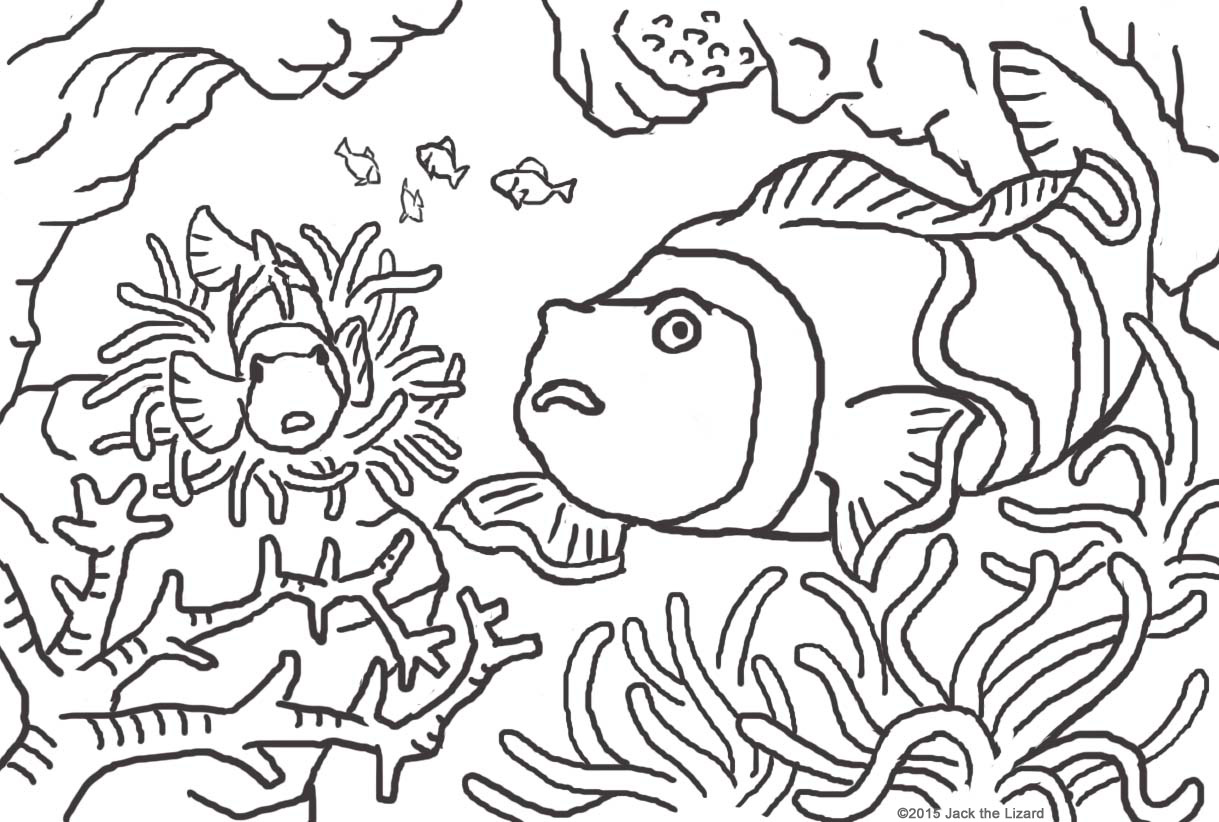 Animal coloring pages