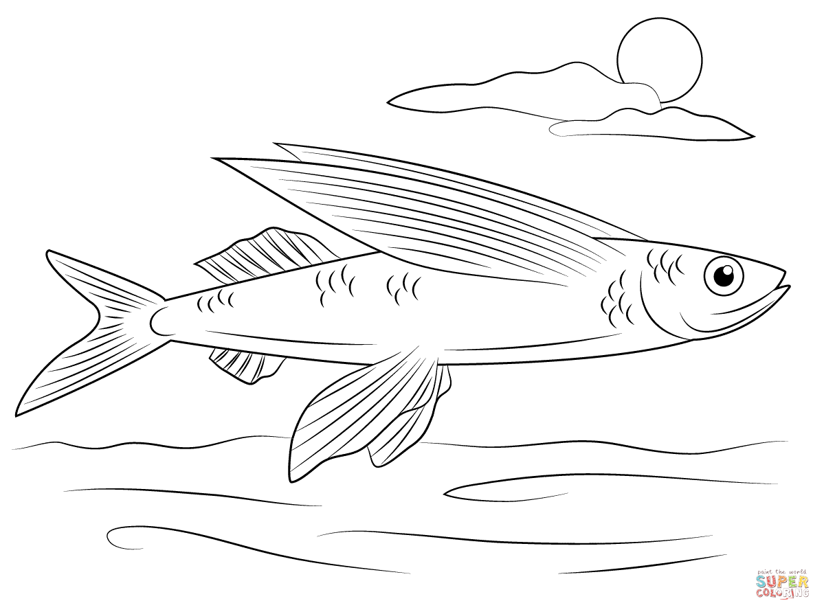 Flying fish coloring page free printable coloring pages