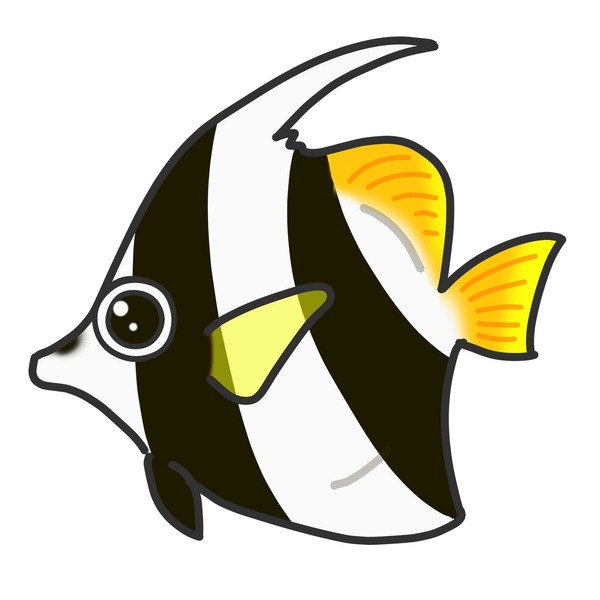 Hundred coralfish royalty