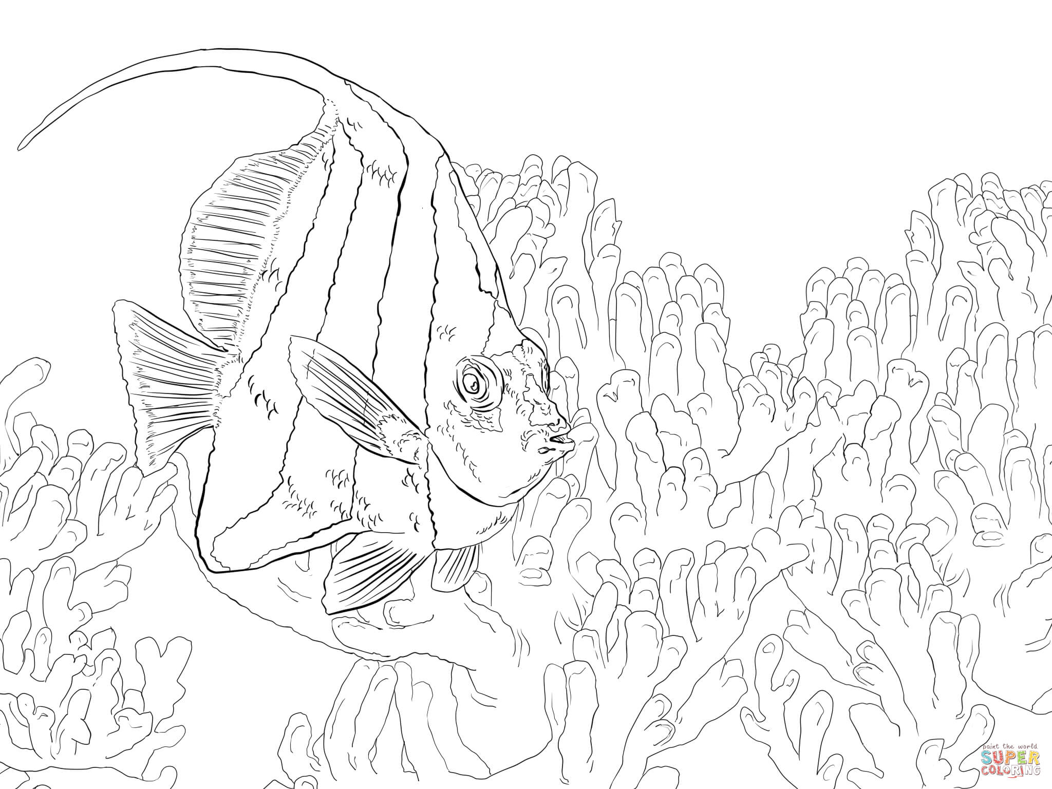 Pennant coralfish coloring page free printable coloring pages