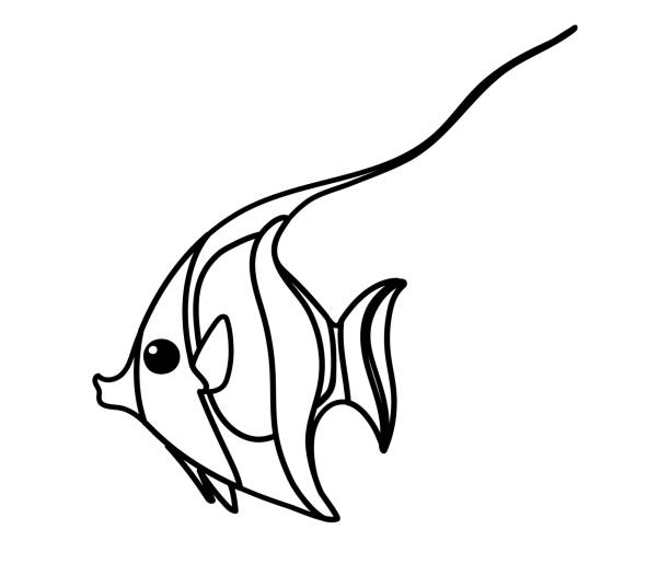 Pennant coralfish stock illustrations royalty