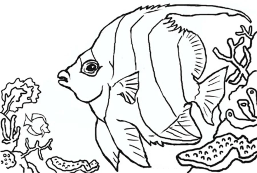 Coloring pages pennant coralfish printable for kids adults free