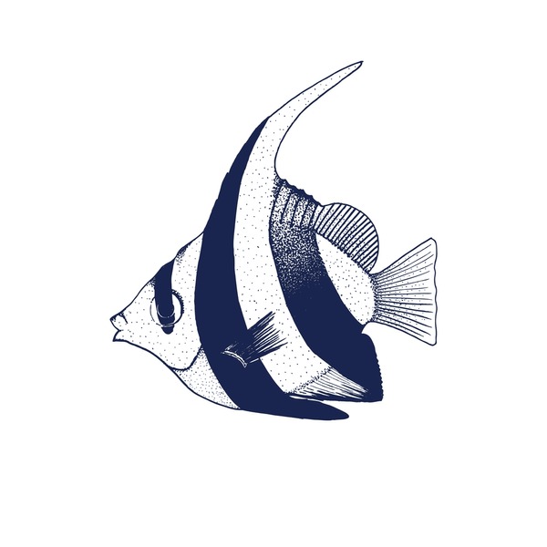 Hundred coralfish royalty