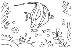 Pennant coralfish coloring pages ideas pennant coloring pages fun activities