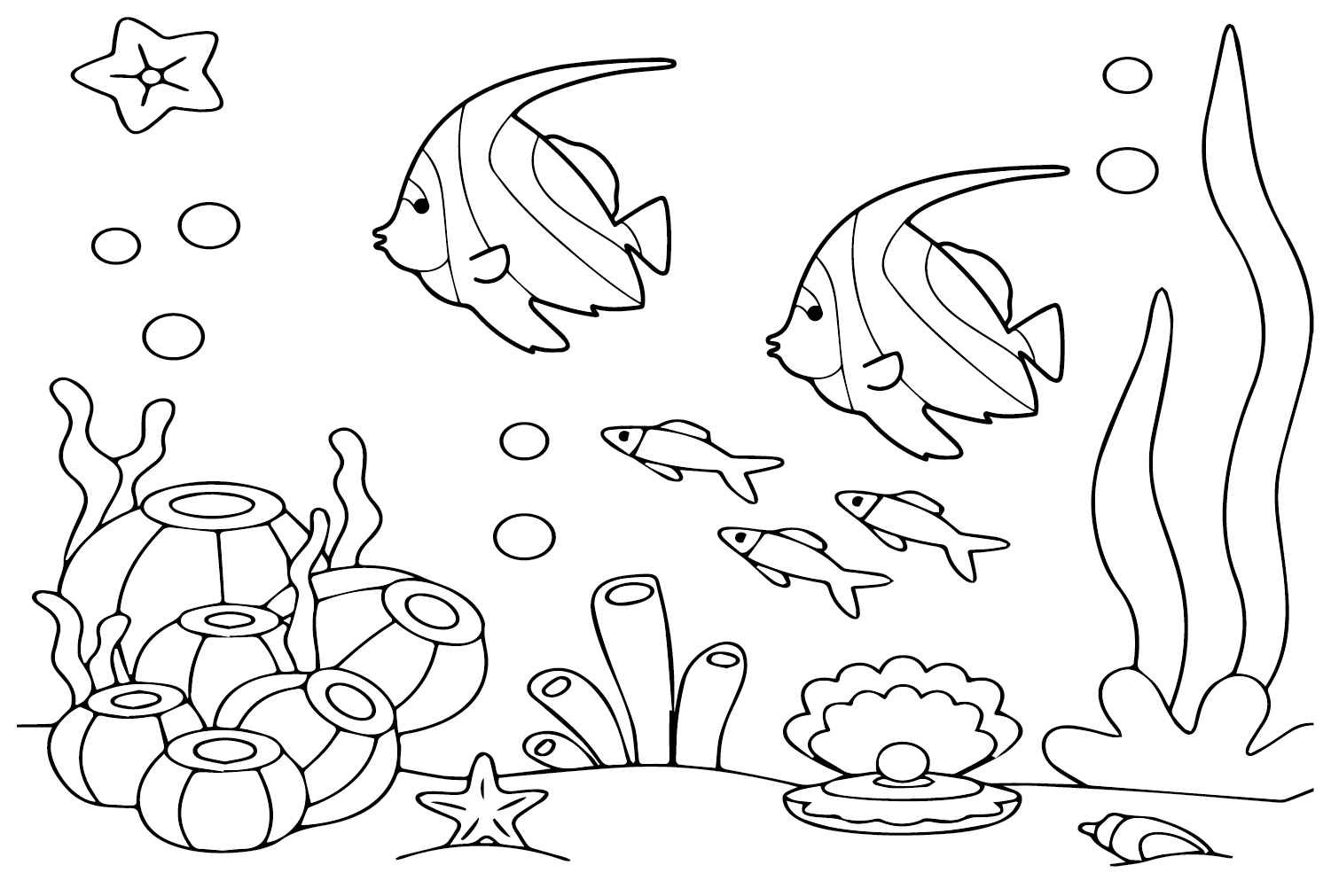 Cartoon pennant coralfish coloring page