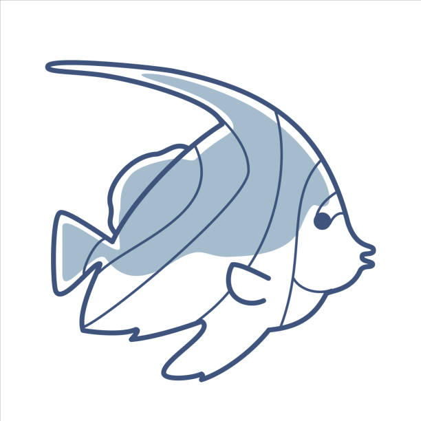 Pennant coralfish stock illustrations royalty