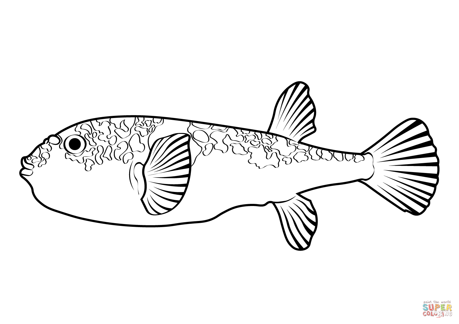 Smooth toadfish tetractenos glaber coloring page free printable coloring pages