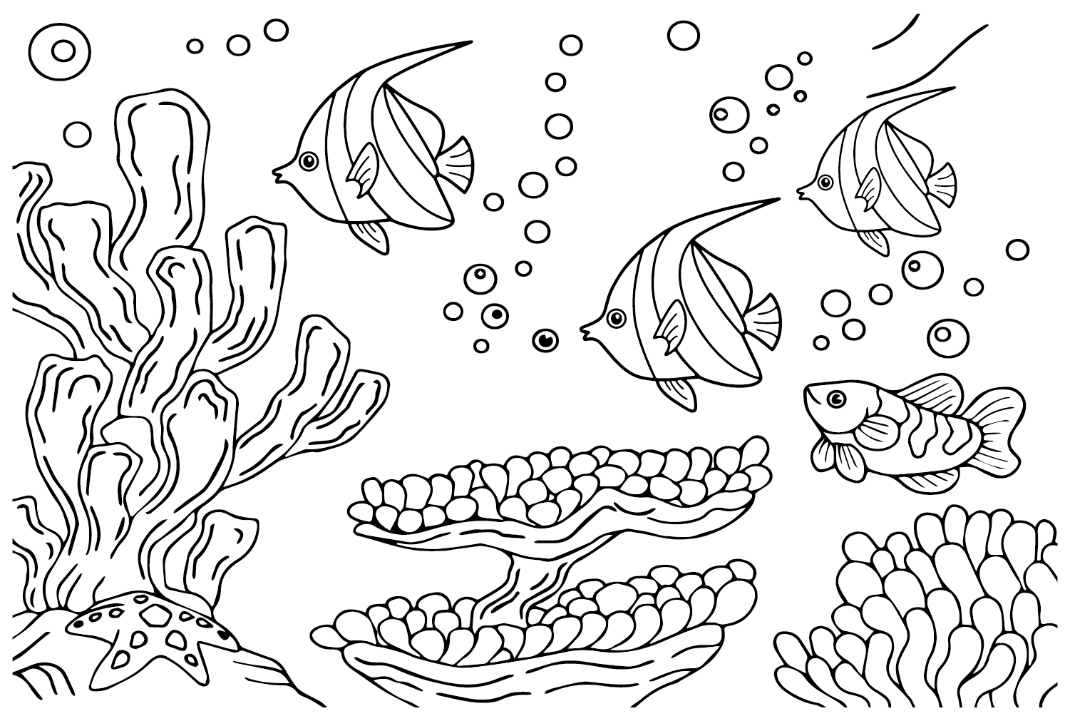 Pennant coralfish printable coloring page