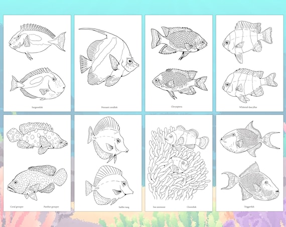 Sea fish for kids and adults coloring pages with saltwater fish and animals to color in
