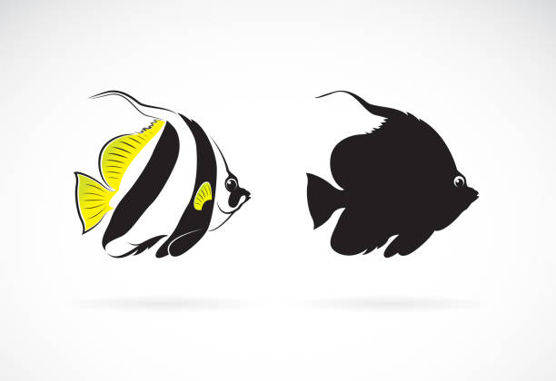 Pennant coralfish stock illustrations royalty