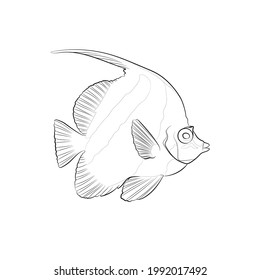 Pennant coralfish heniochus acuminatus line drawing åºåçéåïå ççï