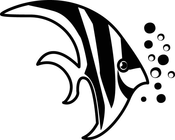 Pennant coralfish stock illustrations royalty