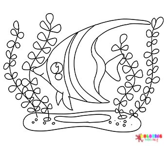 Coloring pages for kids and adults in coloring pages coloring pages for kids pennant