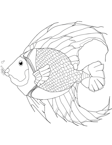Coral fish coloring page free printable coloring pages