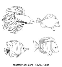 Pennant fish images stock photos d objects vectors
