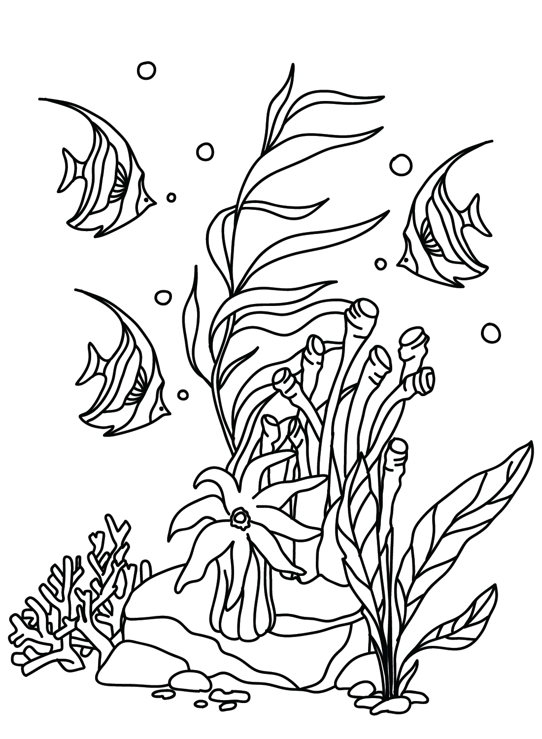 The pennant coralfish coloring pages