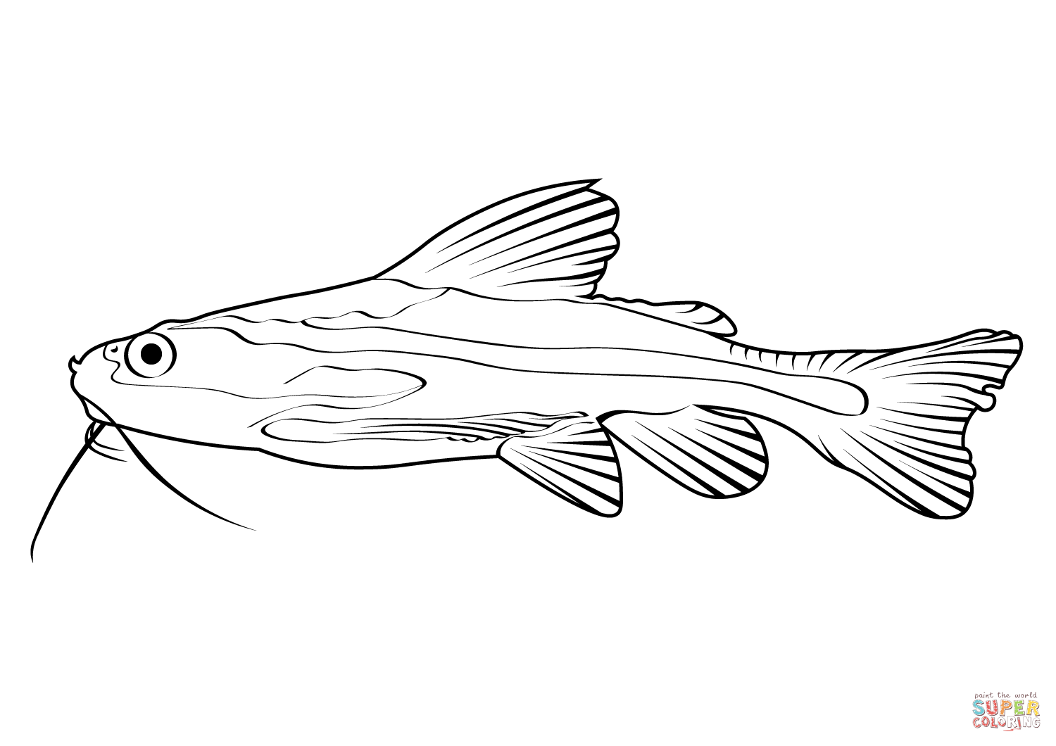 Striped raphael catfish platydoras armatulus coloring page free printable coloring pages