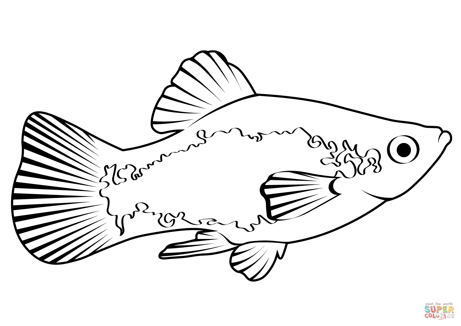 Southern platyfish xiphophorus maculatus coloring page free printable coloring pages