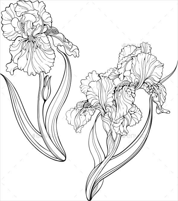 Printable coloring pages