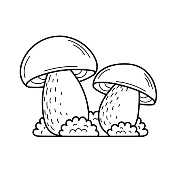 Coloring page mushrooms stock photos royalty free coloring page mushrooms images