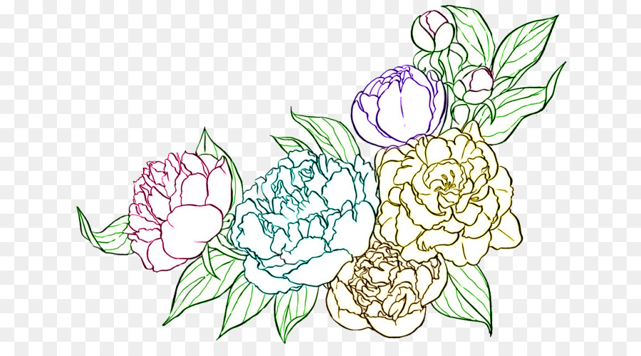 Flower line art png download