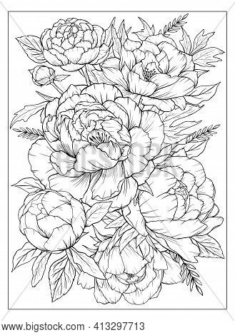 Coloring page peonies vector photo free trial bigstock
