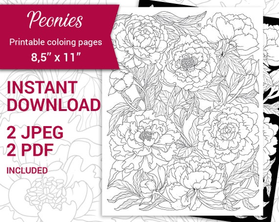 Pdf jpeg digital adult coloring book floral arrangements botanical printable coloring page peony flower coloring page x