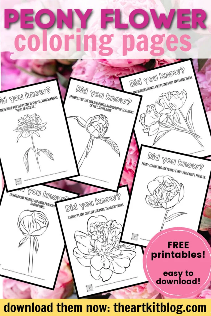 Beautiful free printable peony flower coloring pages â the art kit