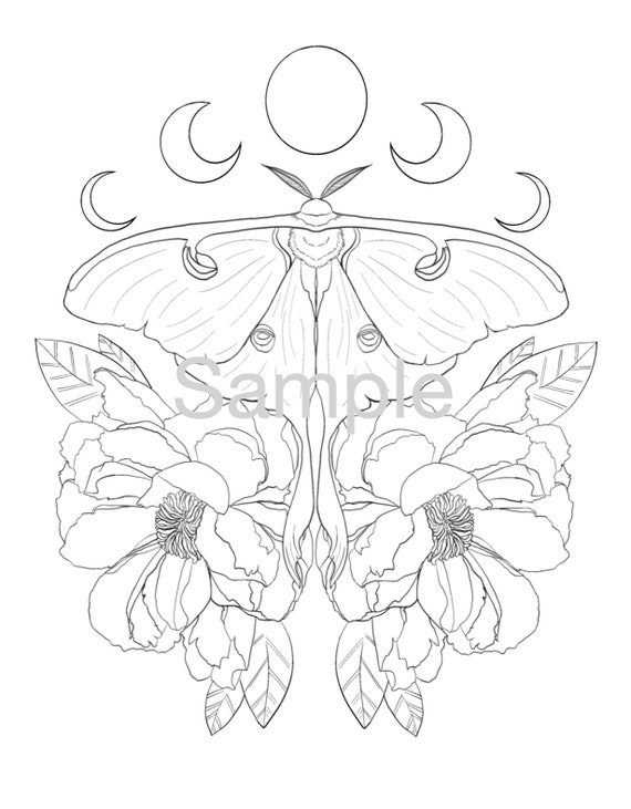 Luna moth and peonies coloring page download now
