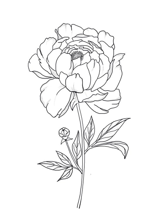 Floral printable coloring sheets coloring pages adult coloring pages kid coloring pages coloring flowers instant download