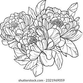 Peony flower drawing vector sketch hand stock vector royalty free