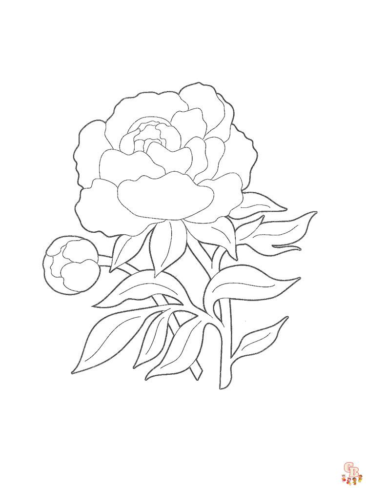 Peonies coloring pages free and easy printable