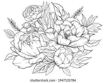 Peonies coloring page images stock photos d objects vectors