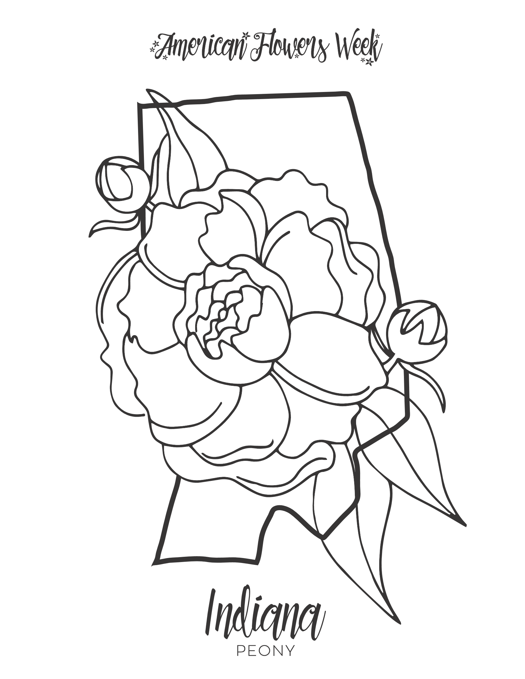 State flowers â free coloring pages â american flowers week
