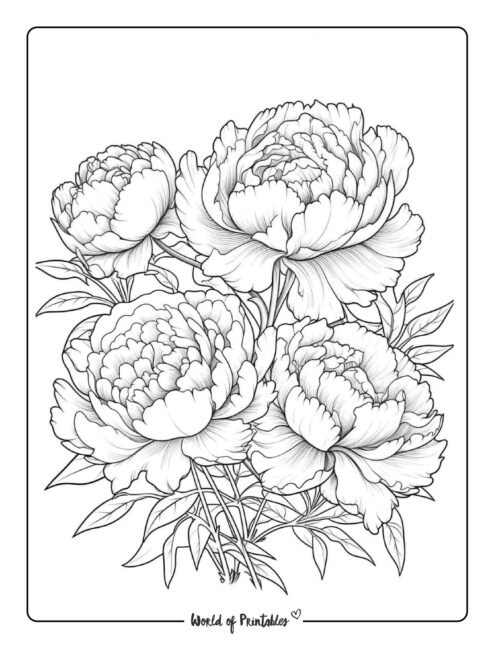 Best flower coloring pages for kids adults