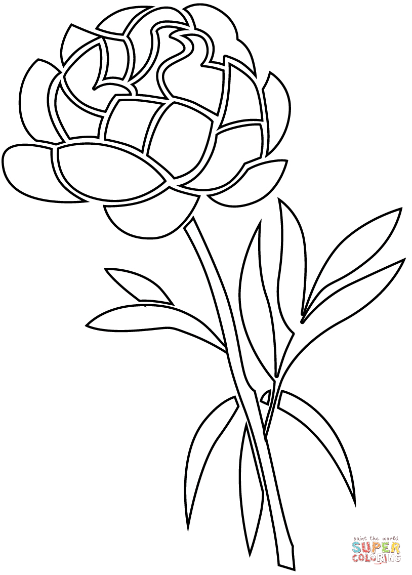 Peony coloring page free printable coloring pages