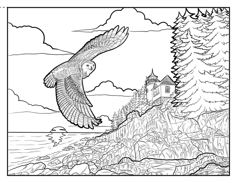 National park coloring book â
